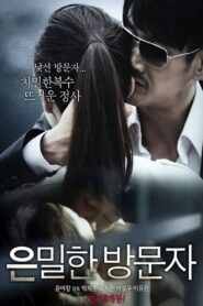 Secret Visitor 2015 one on netflix