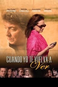 Cuando yo te vuelva a ver 2013 one on netflix