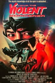 Ninja, the Violent Sorceror 1987 one on netflix