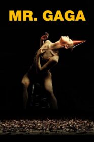 Mr. Gaga 2015 one on netflix