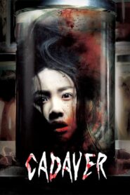 Cadaver 2007 one on netflix