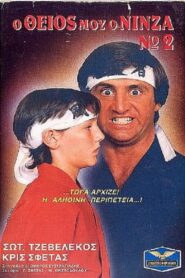 Ο Θείος Μου Ο Νίνζα Νο2 1987 one on netflix