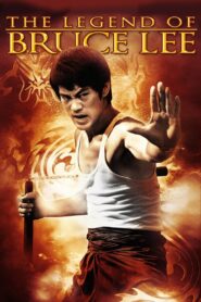 The Legend of Bruce Lee 2009 one on netflix