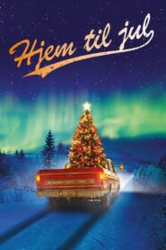 Home for Christmas 2010 one on netflix