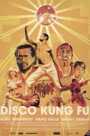 Disco Kung Fu 2002 one on netflix