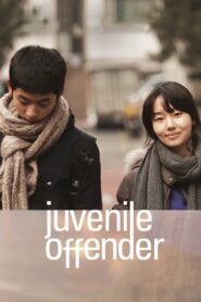 Juvenile Offender 2012 one on netflix