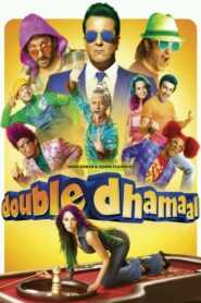 Double Dhamaal 2011 one on netflix