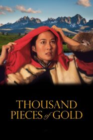 Thousand Pieces of Gold 1991 one on netflix