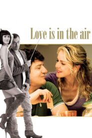 Love Is in the Air 2012 one on netflix