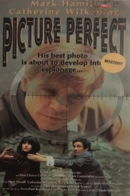 Picture Perfect 1993 one on netflix