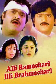 Alli Ramachari Illi Brahmachari 1992 one on netflix