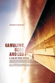 Gambling, Gods and LSD 2002 one on netflix