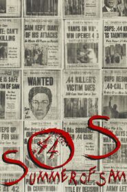 Summer of Sam 1999 one on netflix