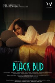 Black Bud 2021 one on netflix