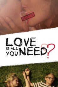 Love Is All You Need? 2016 one on netflix
