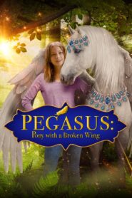 Pegasus: Pony With a Broken Wing 2019 one on netflix