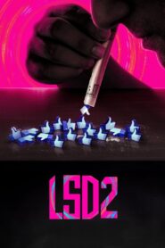 LSD 2: Love, Sex aur Dhokha 2 2024 one on netflix