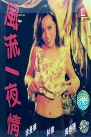 One Night Stand 1993 one on netflix