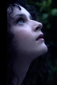 The Orchard 2014 one on netflix