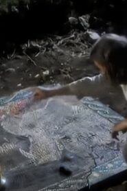 Legend of the White Boar 2004 one on netflix