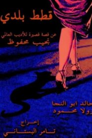 Stray Cats 2005 one on netflix