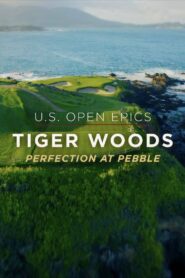 U.S. Open Epics: Tiger Woods: Perfection at Pebble Beach 2019 one on netflix