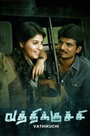 Vatthikuchi 2013 one on netflix