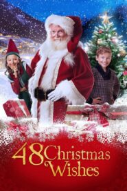 48 Christmas Wishes 2017 one on netflix