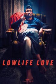 Lowlife Love 2016 one on netflix