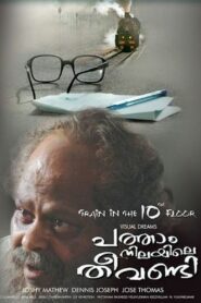Patham Nilayile Theevandi 2009 one on netflix