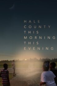 Hale County This Morning, This Evening 2018 one on netflix