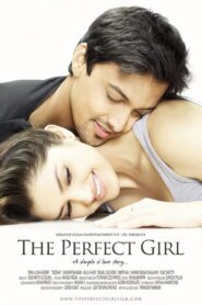 The Perfect Girl 2015 one on netflix