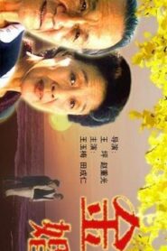 Golden Marriage 2000 one on netflix