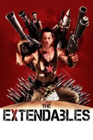 The Extendables 2014 one on netflix