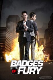 Badges of Fury 2013 one on netflix