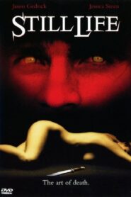 Still Life 1990 one on netflix