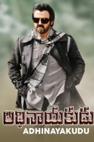 Adhinayakudu 2012 one on netflix