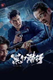 The Grey Men 2024 one on netflix
