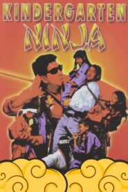 Kindergarten Ninja 1994 one on netflix
