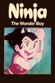 Ninja the Wonder Boy 1984 one on netflix