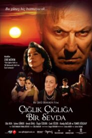 Çığlık Çığlığa Bir Sevda 2010 one on netflix