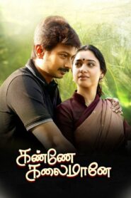 Kanne Kalaimaane 2019 one on netflix