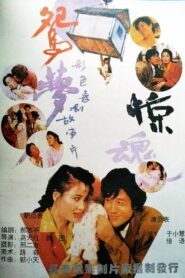 鸳梦惊魂 1993 one on netflix