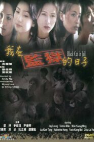 Black Cat in Jail 2000 one on netflix