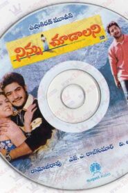 Ninnu Choodalani 2001 one on netflix