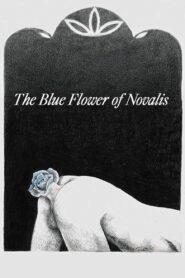 The Blue Flower of Novalis 2018 one on netflix