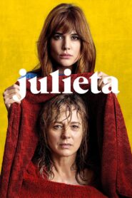 Julieta 2016 one on netflix