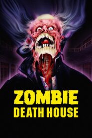 Zombie Death House 1988 one on netflix