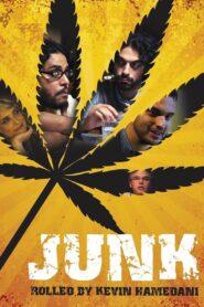 Junk 2012 one on netflix