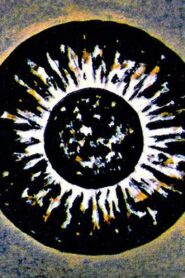 Metamorphose Works No.1 1984 one on netflix